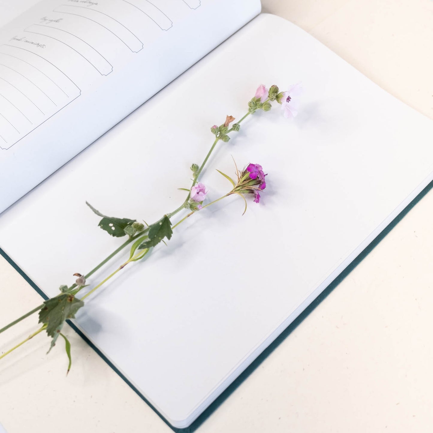 Herbarij z izvezenim cvetličnim motivom