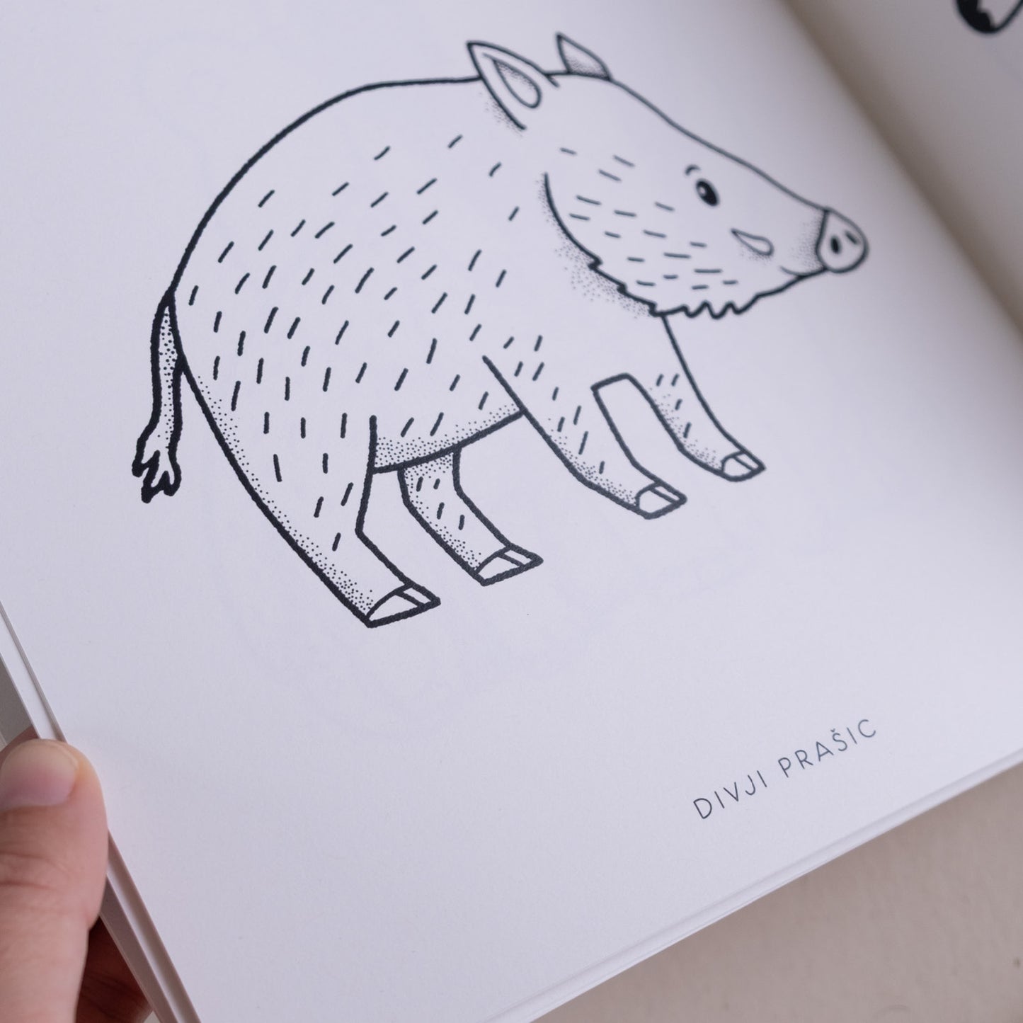 Pobarvanka - Gozdne živali