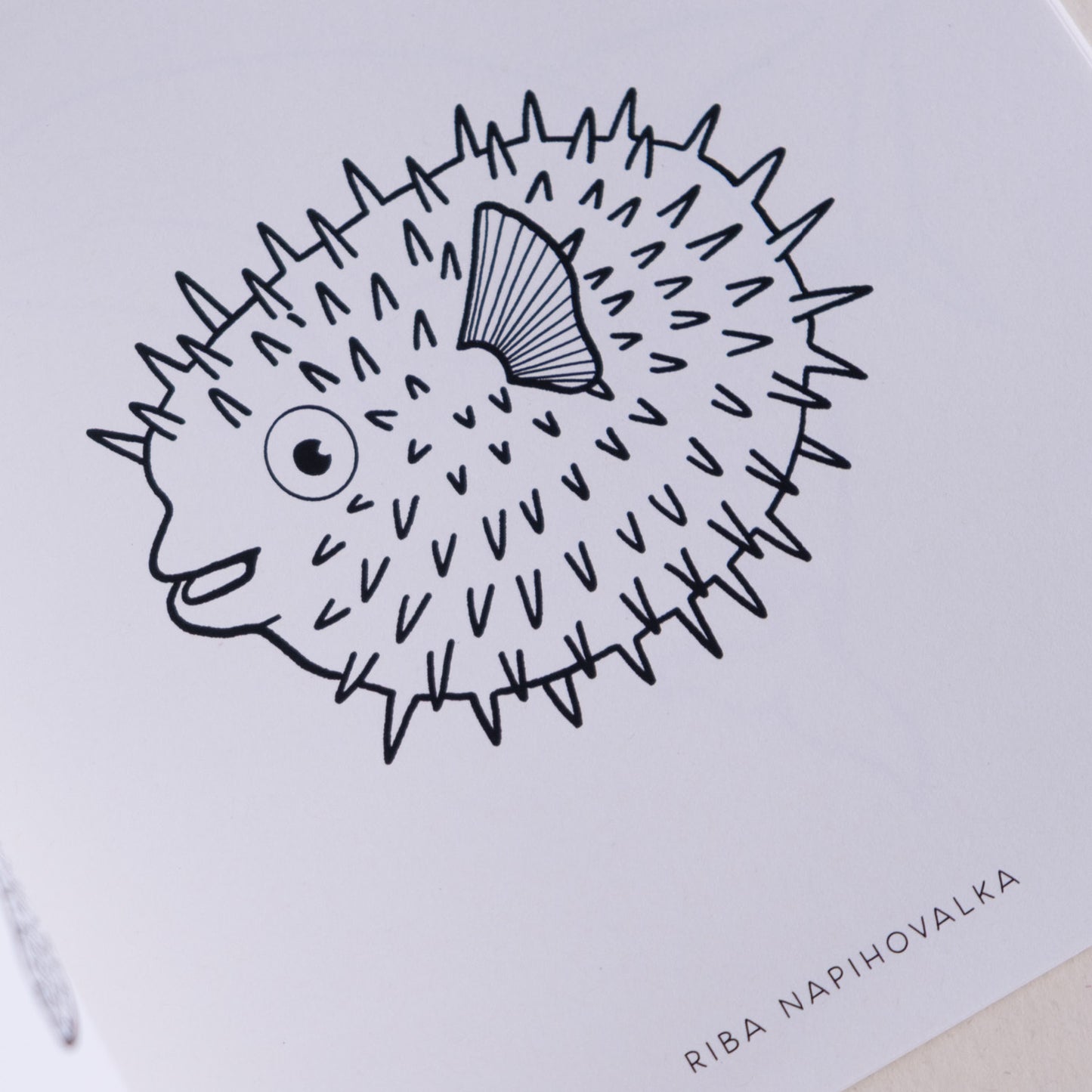 Pobarvanka - Morske živali