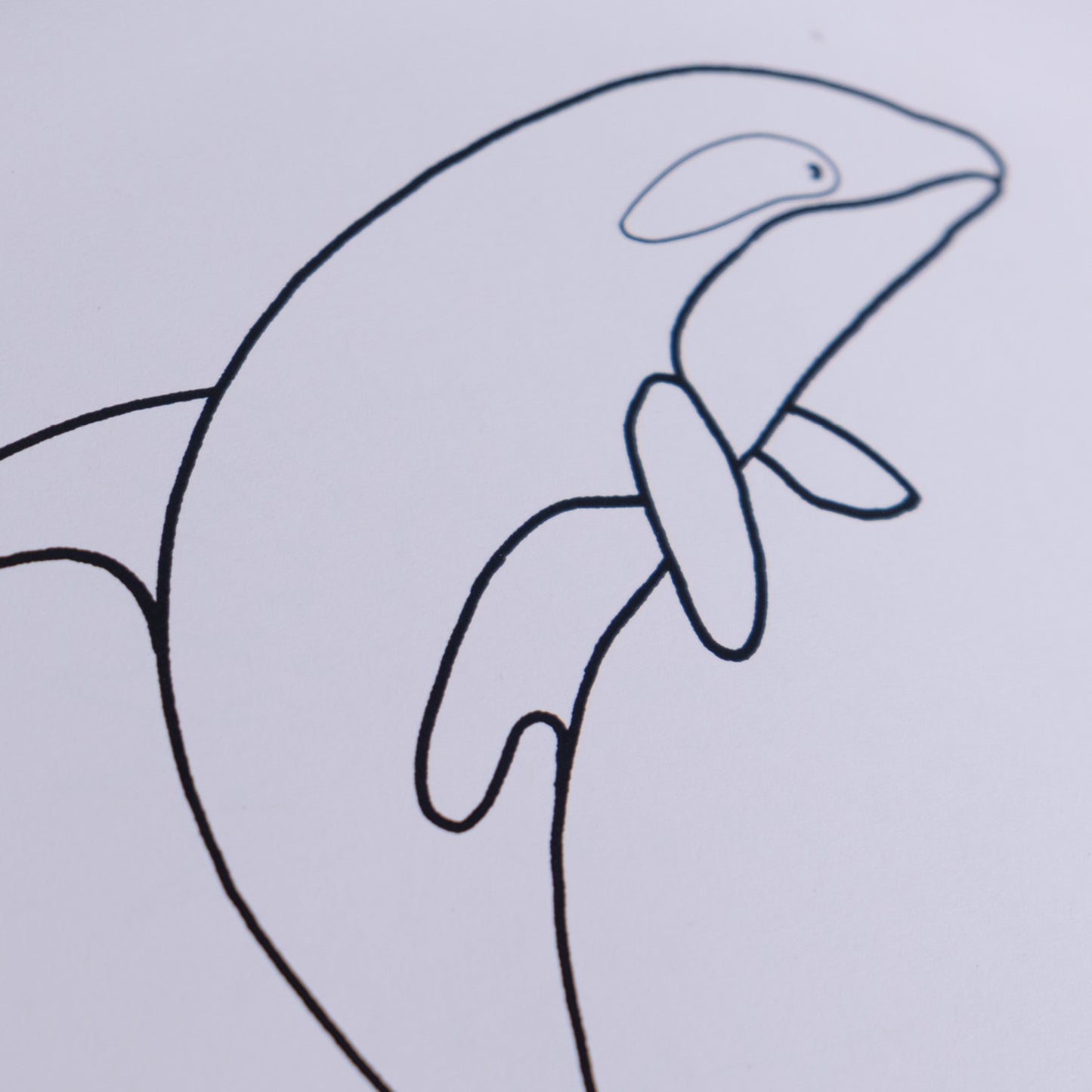 Pobarvanka - Morske živali