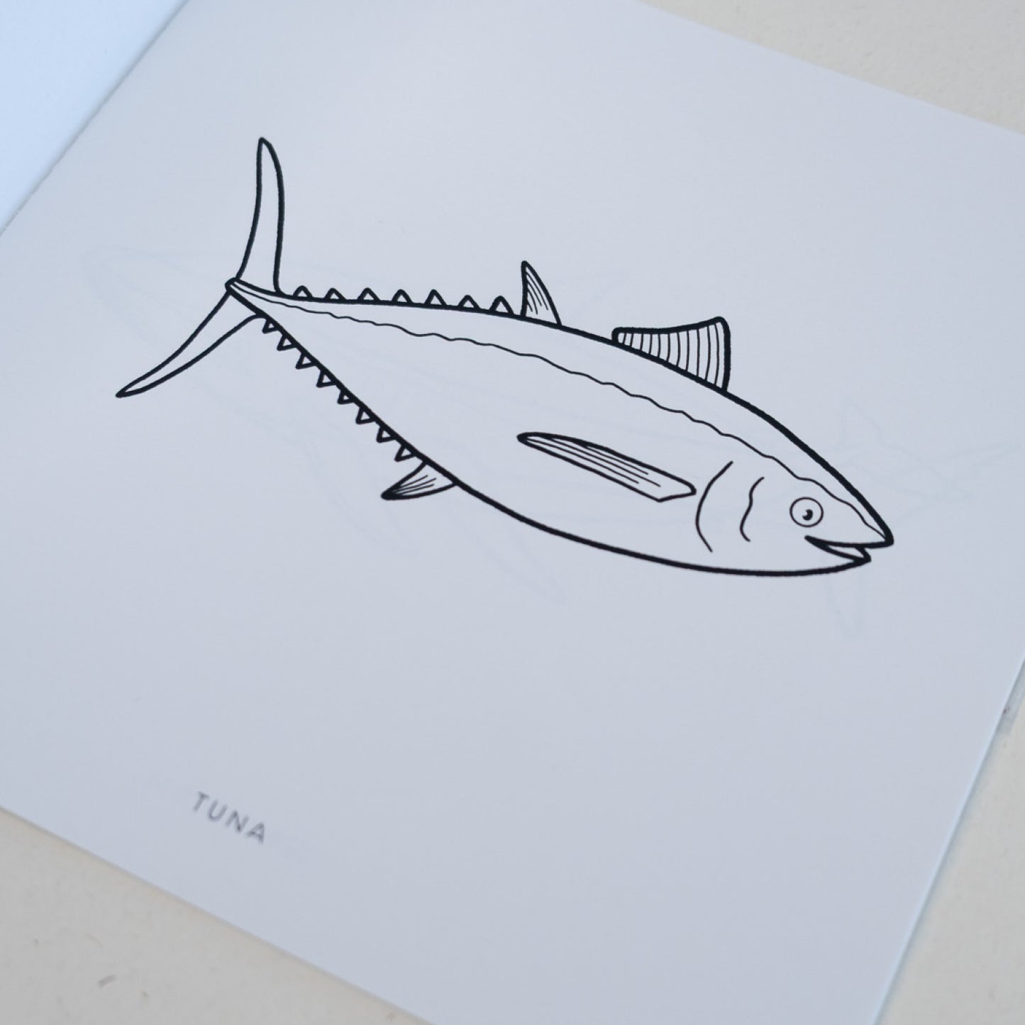 Pobarvanka - Morske živali