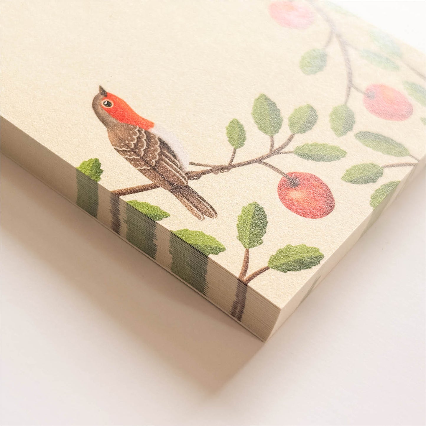 To-do listki - Taščica