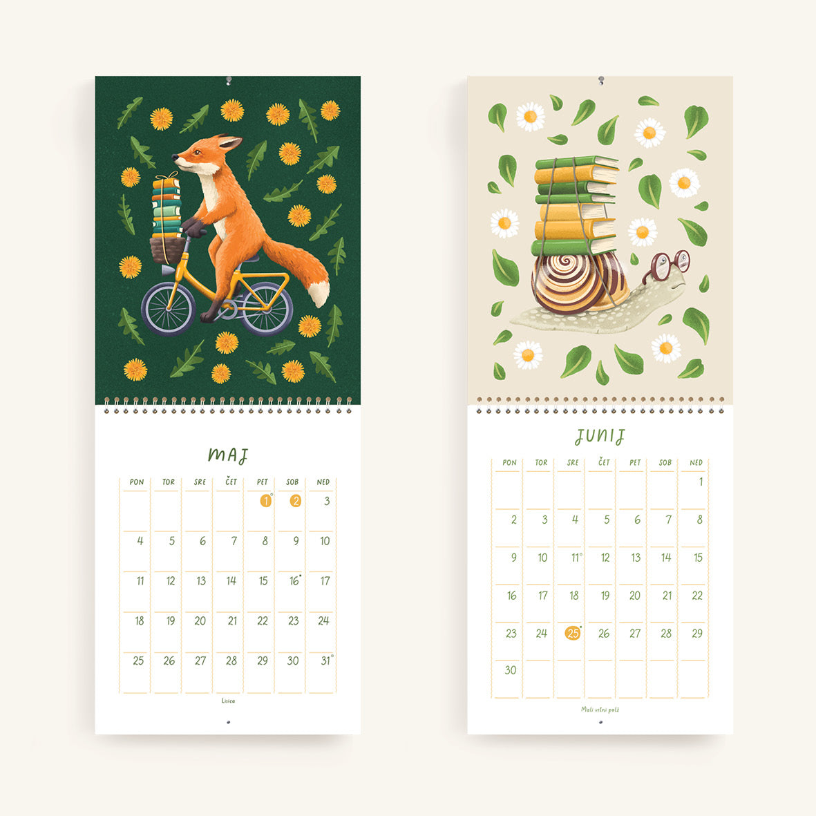 Med knjigami - Stenski koledar 2026