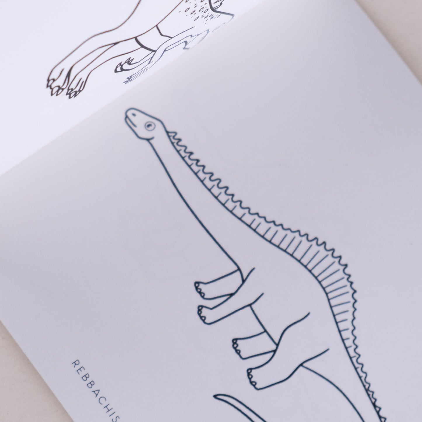 Pobarvanka - Dinozavri