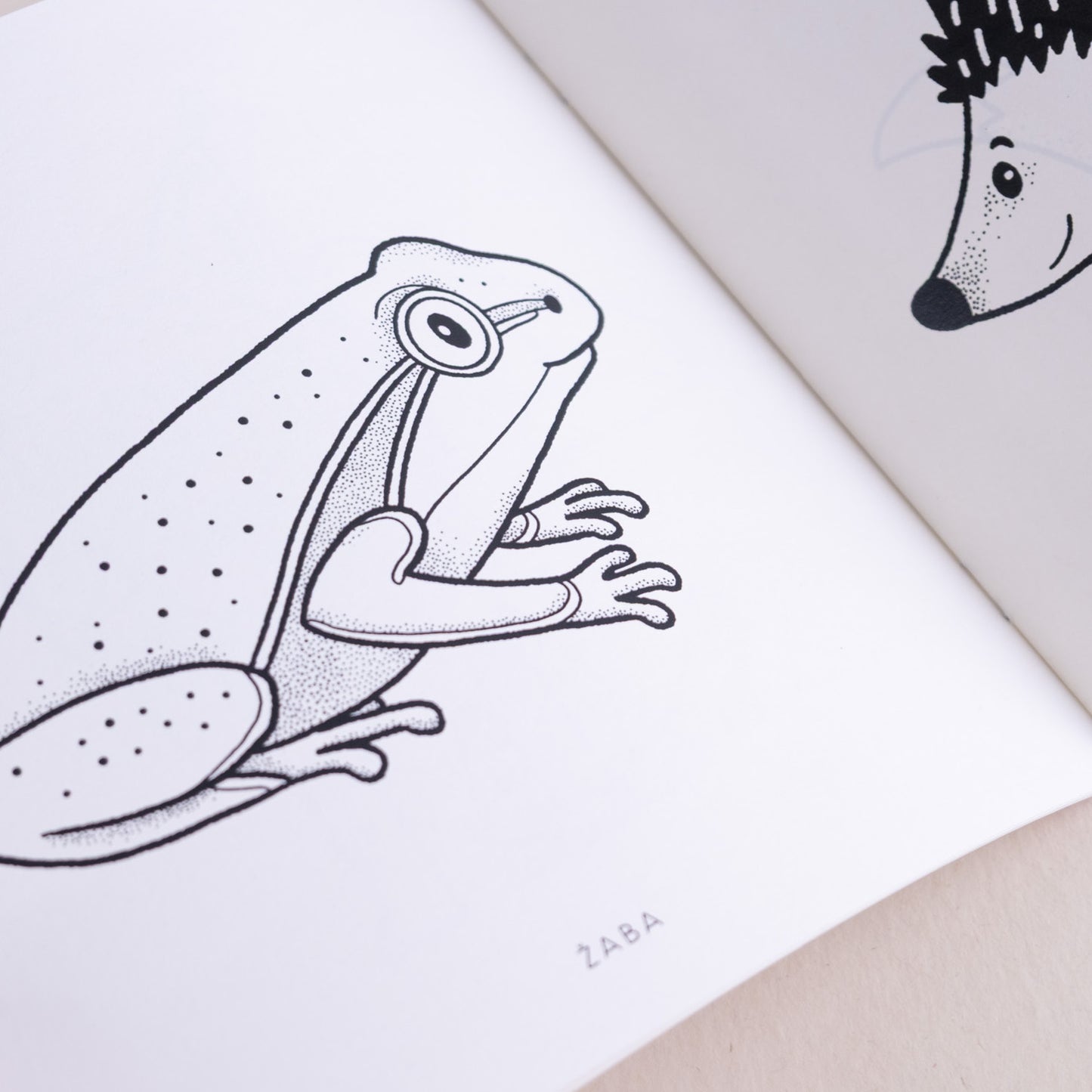 Pobarvanka - Gozdne živali