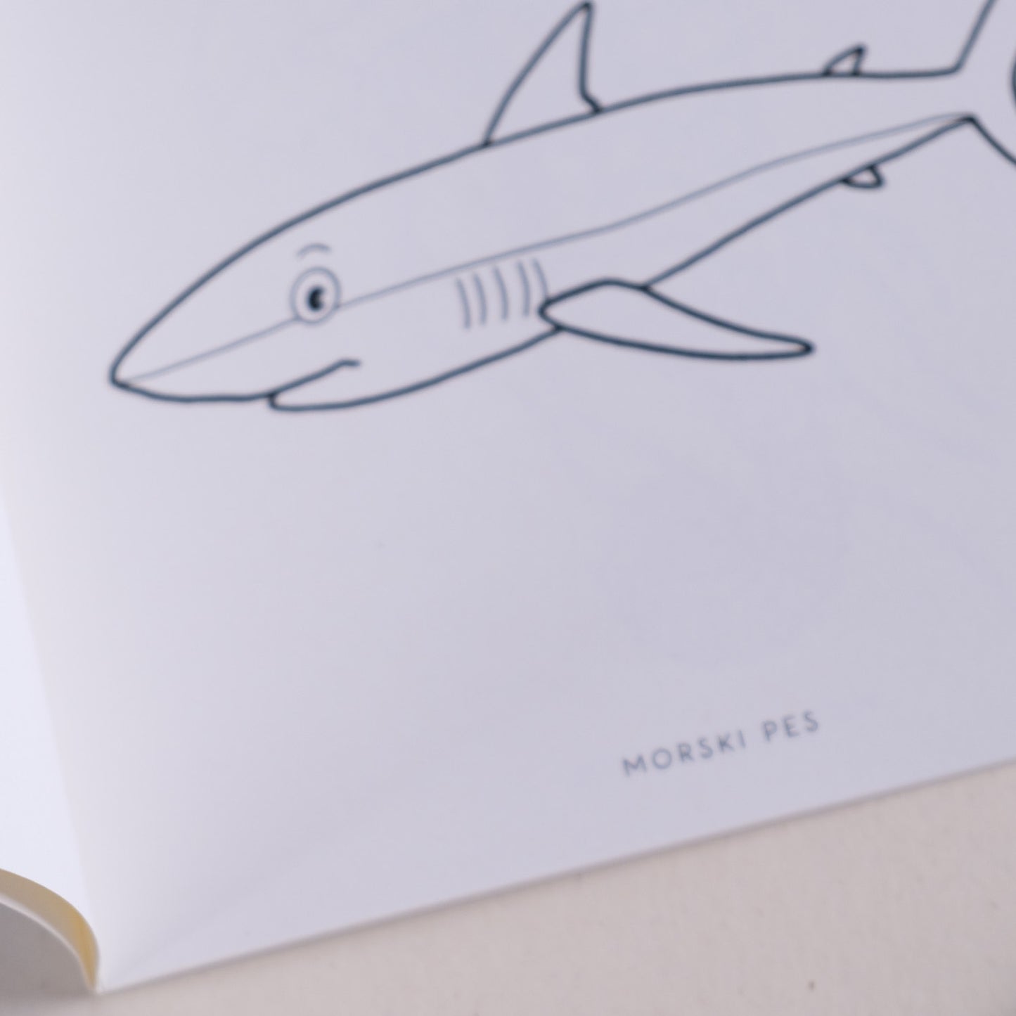 Pobarvanka - Morske živali