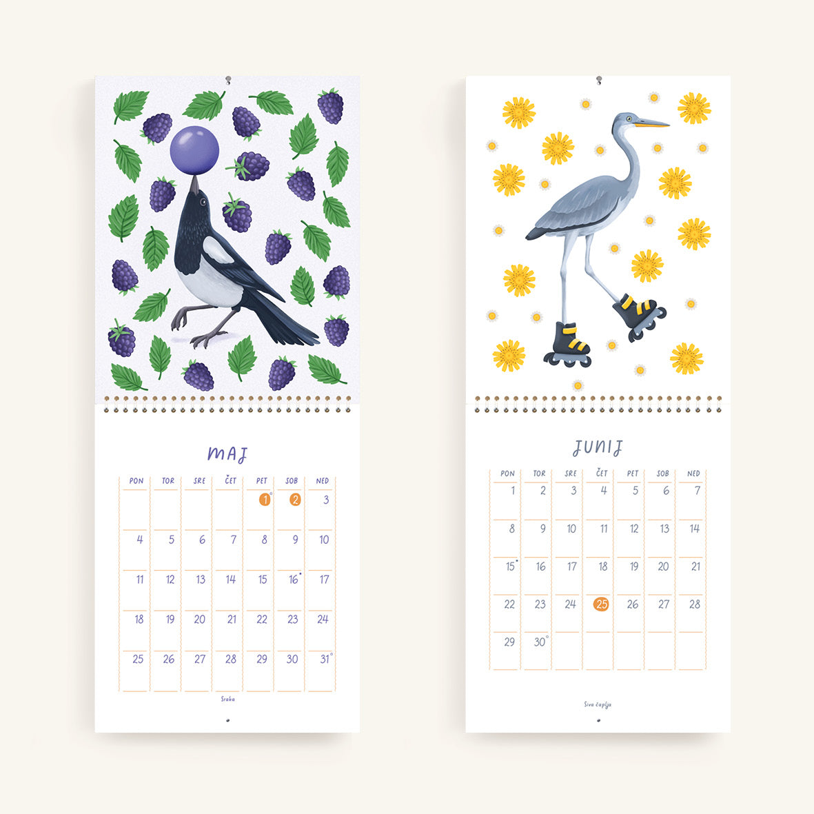 Igrive ptice - Stenski koledar 2026