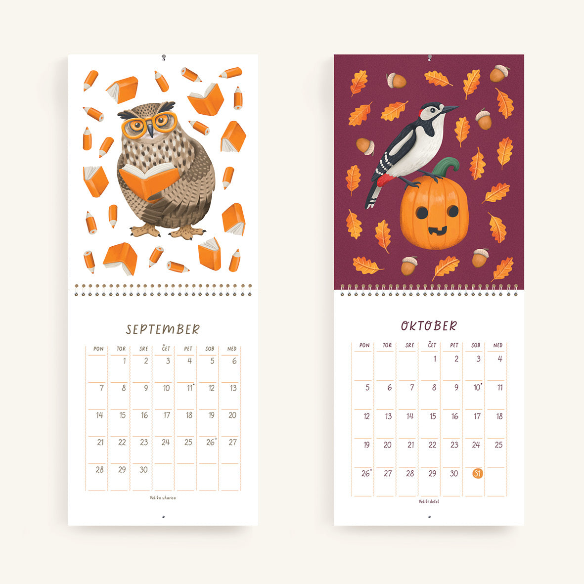 Igrive ptice - Stenski koledar 2026