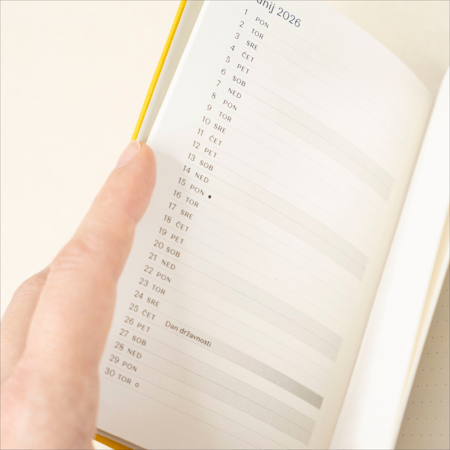 Rumen Planer 2026, A6 z vezenino