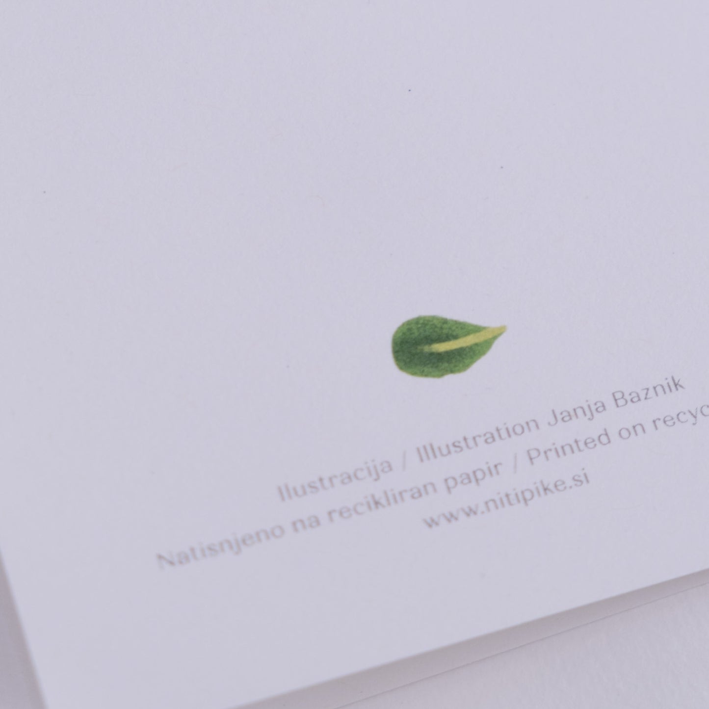 Voščilnica - Polžek s knjigami